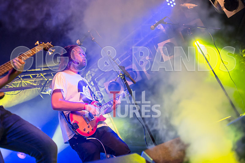 To the Woods-261 - TO THE WOODS