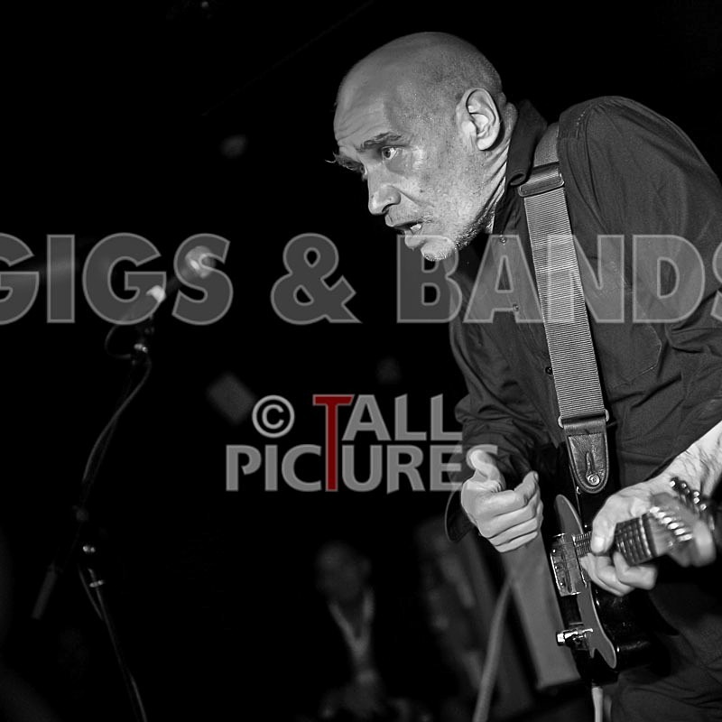 The Wilko Johnson Band-31 - THE WILKO JOHNSON BAND