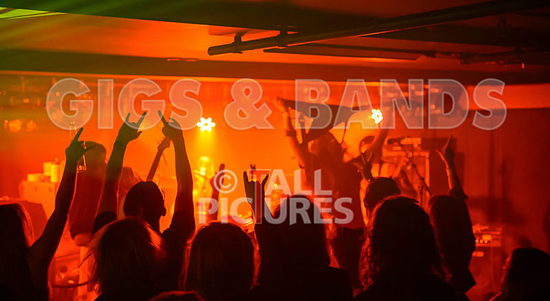 Stone Em All-216 - STONE EM ALL