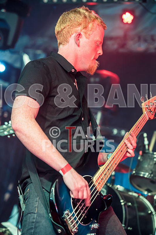 FlashMob-141 - FLASHMOB