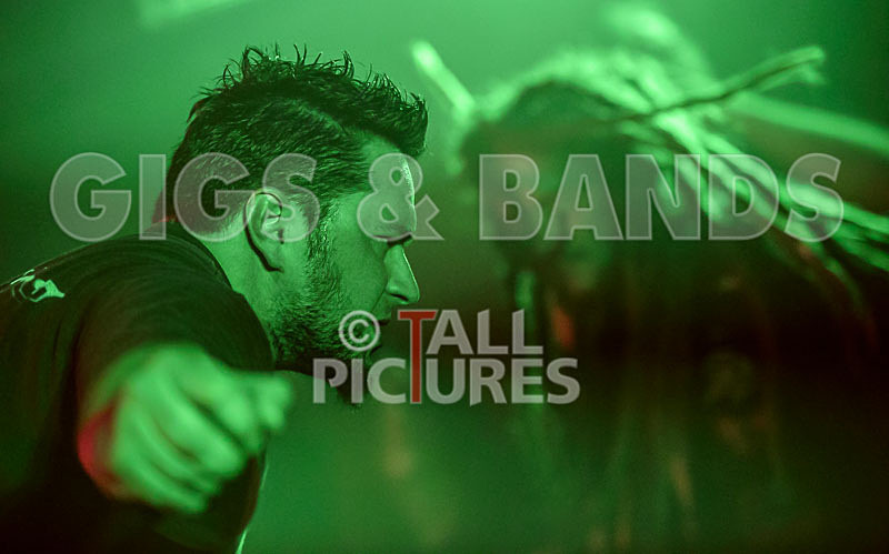 Masticated-2 - MASTICATED