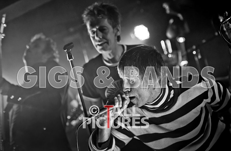 Eddie and the Hot Rods-29 - EDDIE AND THE HOT RODS