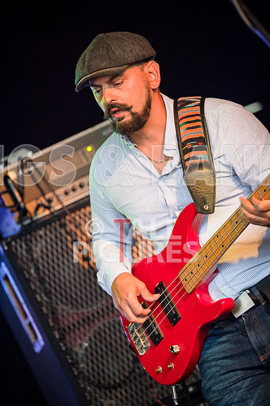 Rat Salad-15 - RAT SALAD