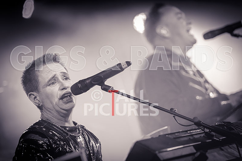 Fade2Grey-358 - FADE2GREY