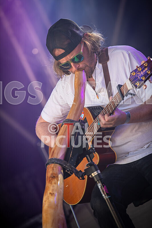 Buffalo Huddleston-730 - BUFFALO HUDDLESTON