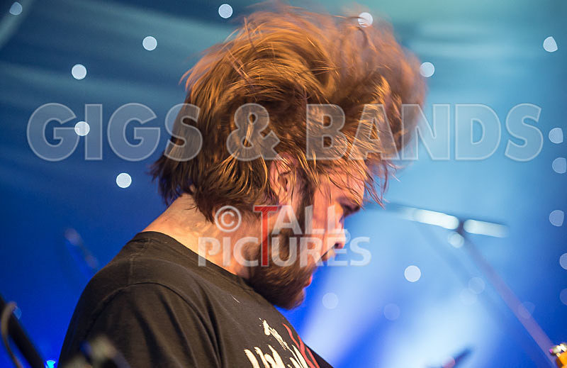 To the Woods-335 - TO THE WOODS