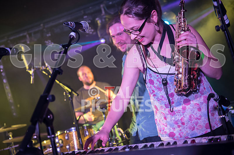 Yes Sir Boss-32 - YES SIR BOSS