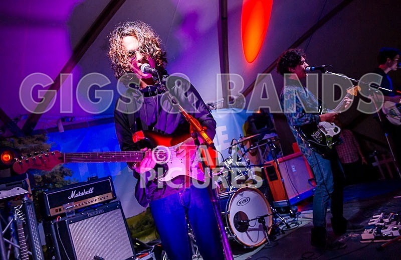 Last Dinosaurs-26 - LAST DINOSAURS