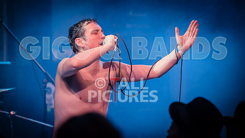 Pigsx7-46 - PIGS PIGS PIGS PIGS PIGS PIGS PIGS