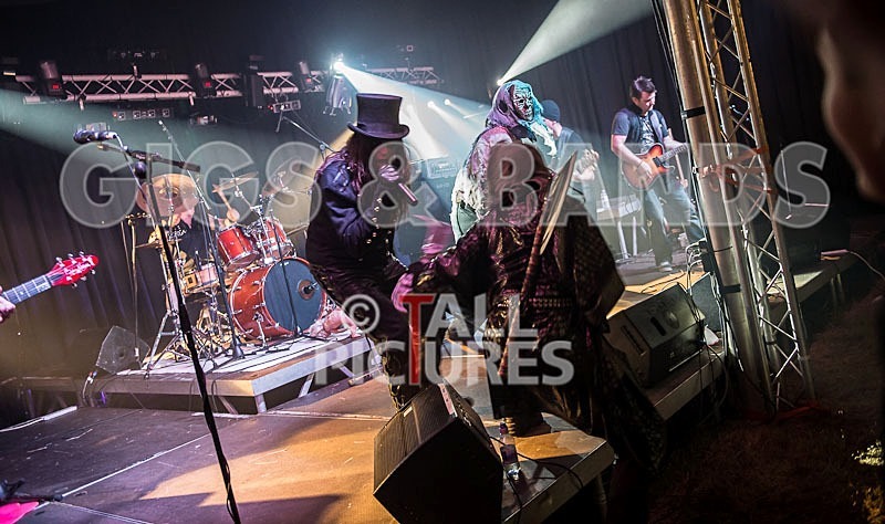 Gallus Cooper-1 - GALLUS COOPER