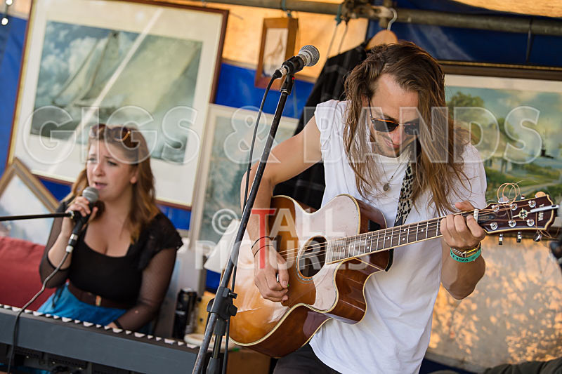 Vale Earth Fair 2017_SCENE-34 - VALE EARTH FAIR 2017_THE SCENE