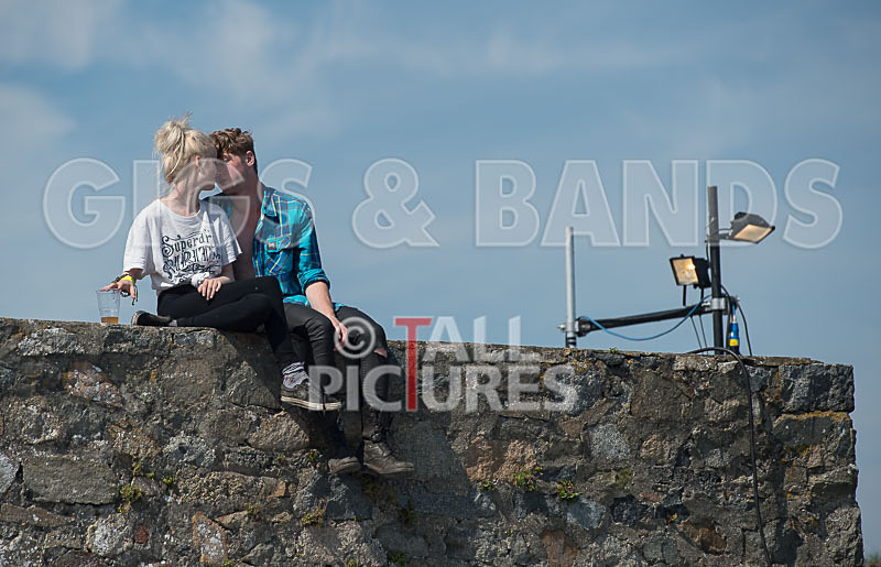 Vale Earth Fair 2015_Atmosphere-7 - VALE EARTH FAIR 2015_THE ATMOSPHERE