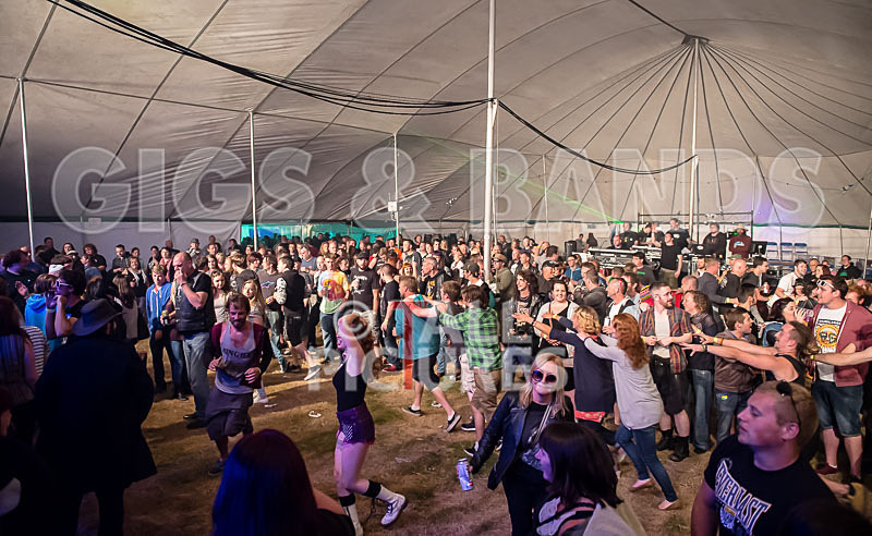 Spunge-81 - [spunge]