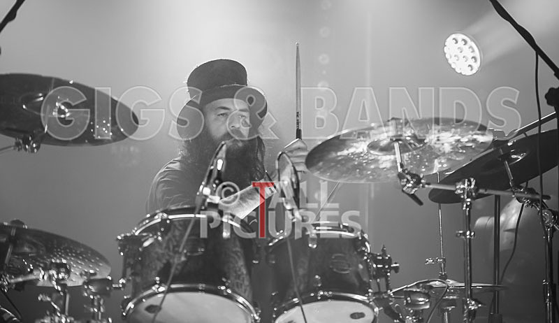 Peppered Ant Legs-164 - PEPPERED ANT LEGS