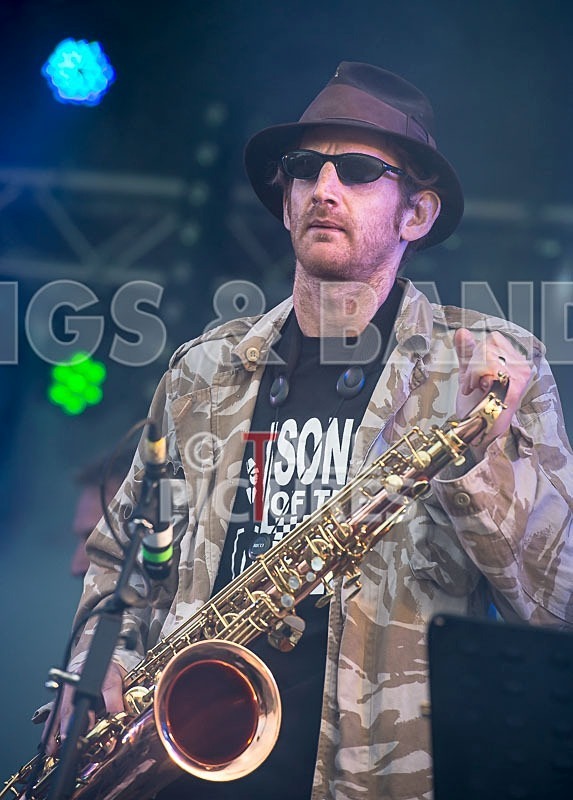 Sons of the Desert-216 - SONS OF THE DESERT