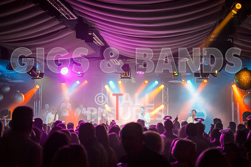 King Rat  the Soul Cats-341 - KING RAT AND THE SOUL CATS