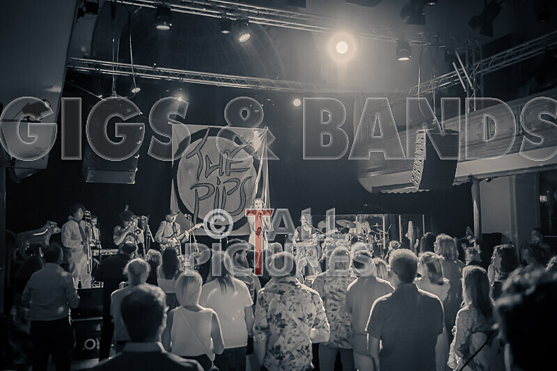 The Pips-31 - THE PIPS