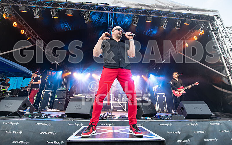 The Rubix-143 - THE RUBIX