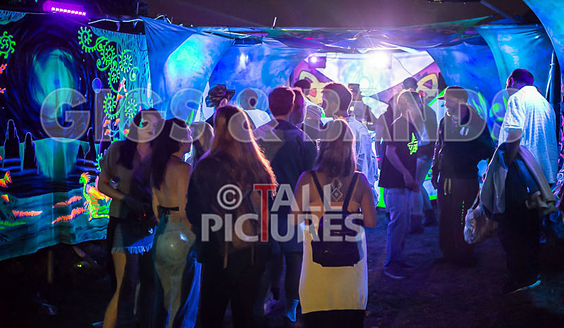 Vale Earth Fair 2017_SCENE-21 - VALE EARTH FAIR 2017_THE SCENE