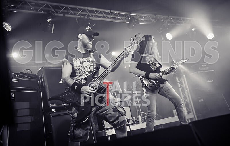 Maiden Guernsey-261 - MAIDEN GUERNSEY