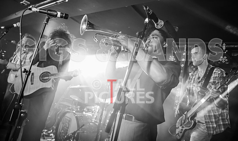 The Recks-253 - THE RECKS