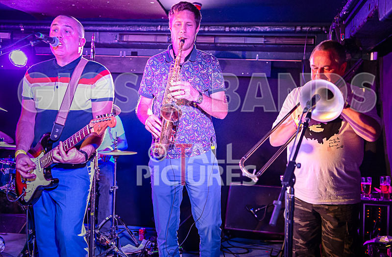 The Risk-353 - THE RISK