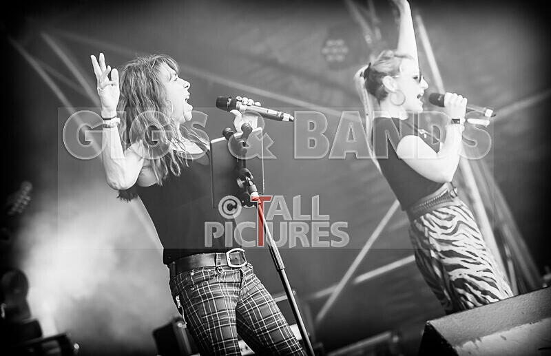 Underdog-148 - UNDERDOG