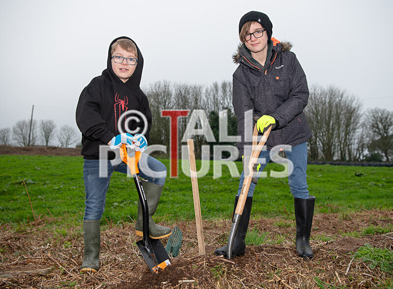 Trees for Life planting-4 - GUERNSEY TREES FOR LIFE PLANTING_2020