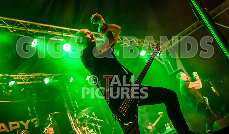 Therapy--35 - THERAPY?