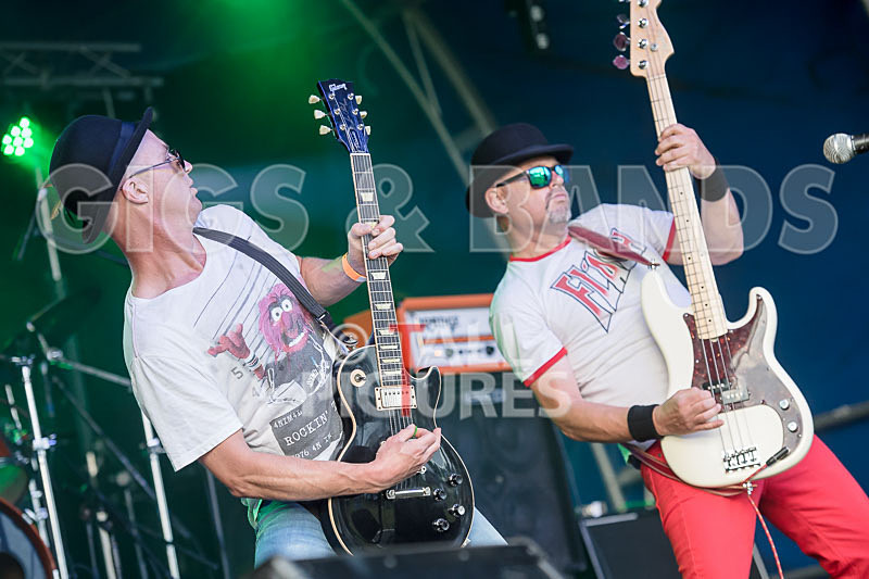 Peppered Ant Legs-250 - PEPPERED ANT LEGS