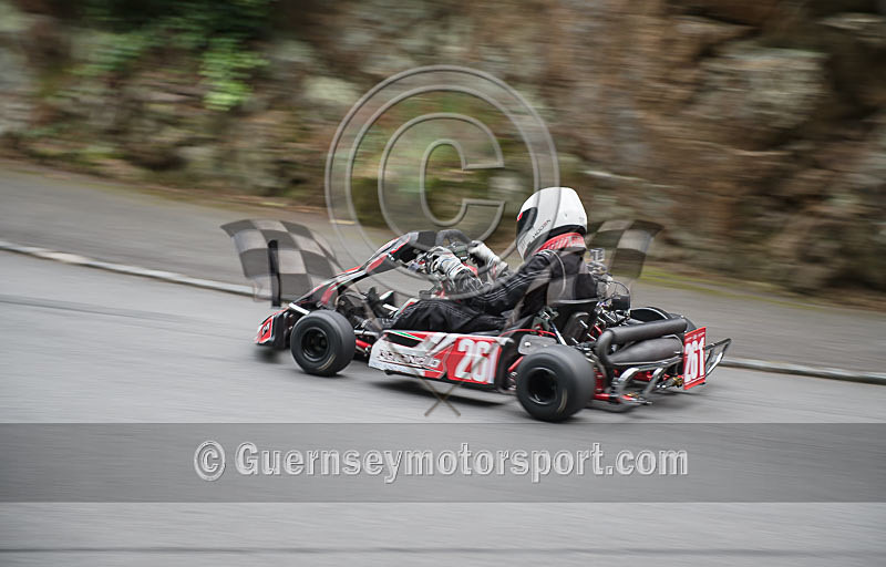 Petit Bot Hillclimb_2015_KART-29 - PETIT BOT HILL CLIMB 2015 - KARTS