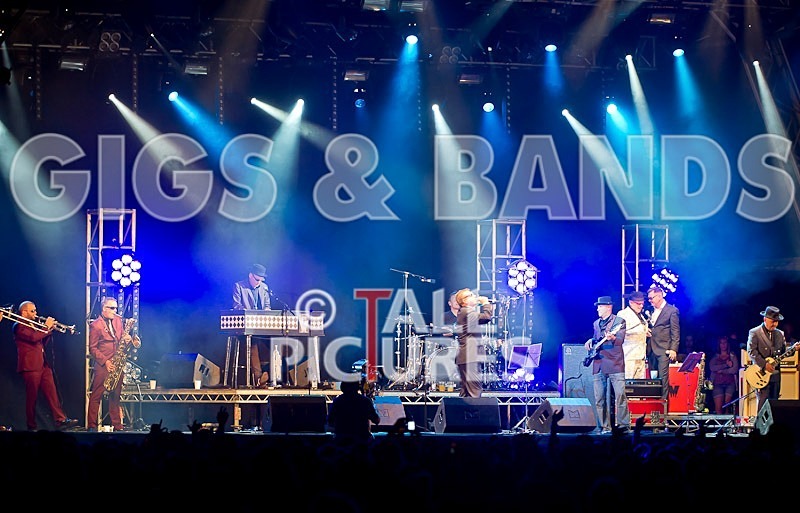 Madness-18 - MADNESS