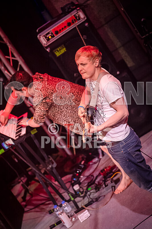 Pigsx7-11 - PIGS PIGS PIGS PIGS PIGS PIGS PIGS