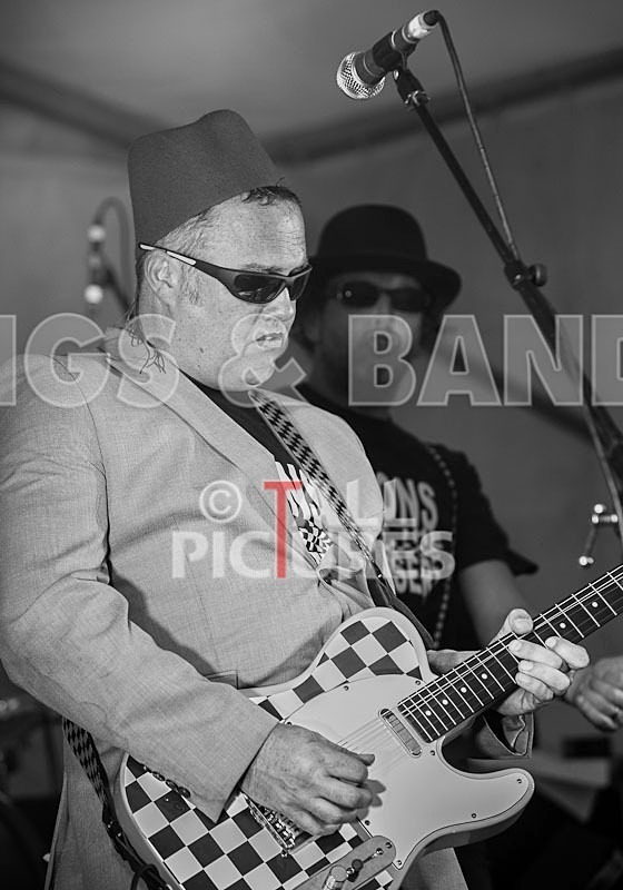 Sons of the Desert_Lib Day_2012-26 - SONS OF THE DESERT