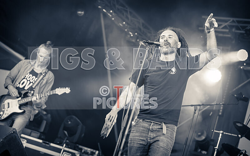 Benny the Moth-130 - BENNY THE MOTH