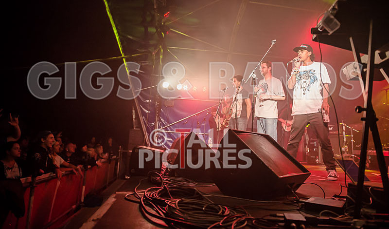 The Mouse Outfit-12 - THE MOUSE OUTFIT