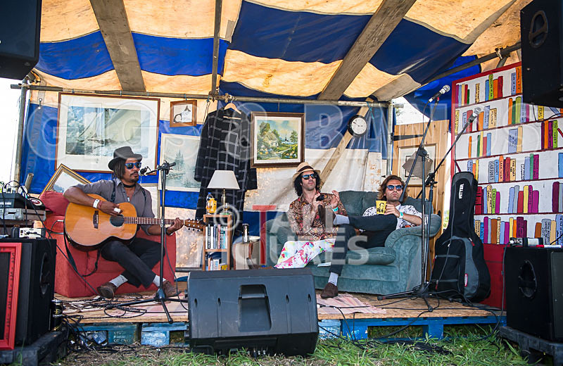 Vale Earth Fair 2017_SCENE-163 - VALE EARTH FAIR 2017_THE SCENE