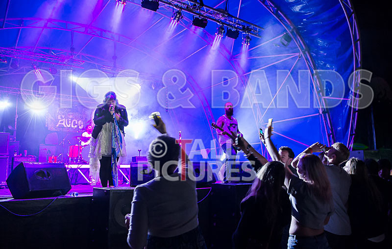 Static Alice-493 - STATIC ALICE