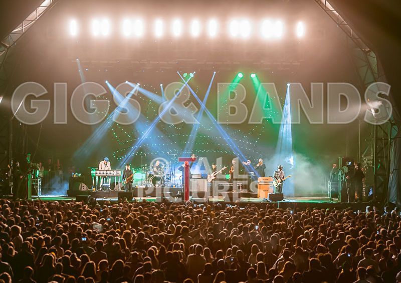 Madness-38 - MADNESS