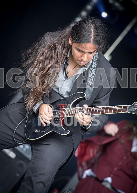 Stone Em All-302 - STONE EM ALL