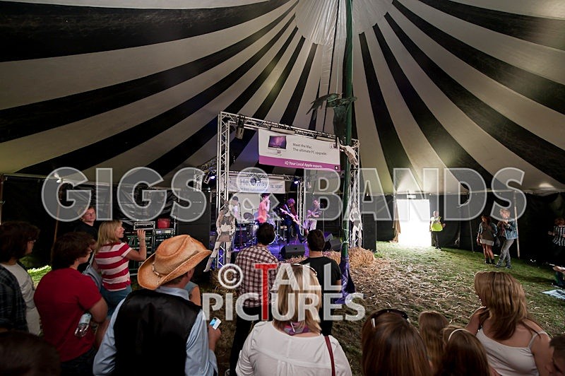 The Hype-10 - THE HYPE