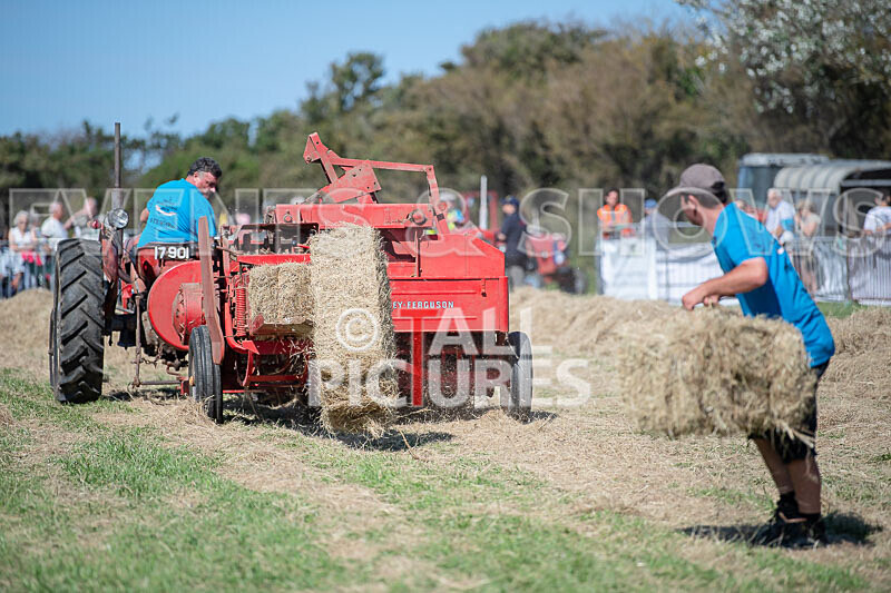 Guernsey Agricultural Show 2021-215 - GUERNSEY AGRICULTURAL SHOW 2021