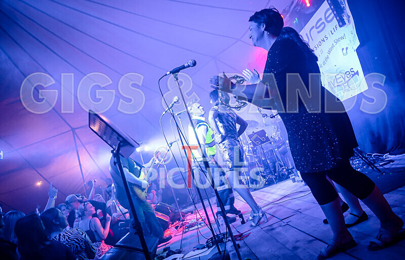 City Limits-31 - CITY LIMITS