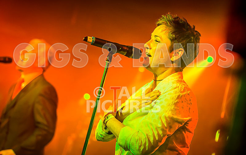 King Rat  the Soul Cats-421 - KING RAT AND THE SOUL CATS