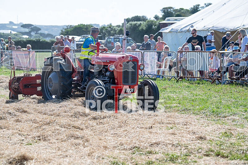 Guernsey Agricultural Show 2021-203 - GUERNSEY AGRICULTURAL SHOW 2021