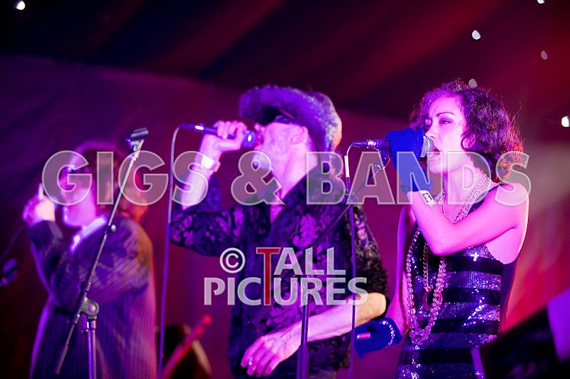 Vale-Earth-67 - VALE EARTH FAIR 2008