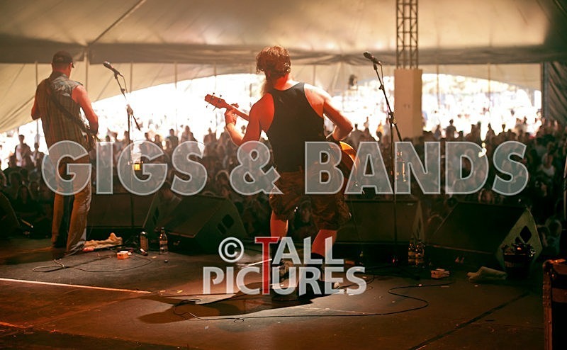 Hayseed Dixie-35 - HAYSEED DIXIE