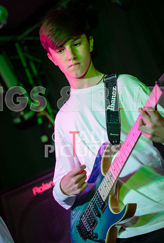 Pigeon Bomb-31 - PIGEON BOMB