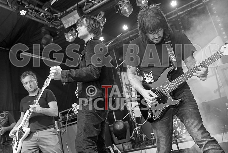 The Cryptics-106 - THE CRYPTICS