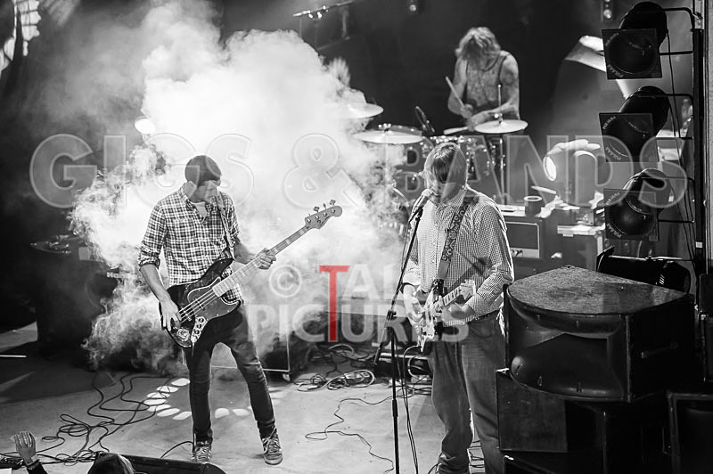 To the Woods-187 - TO THE WOODS